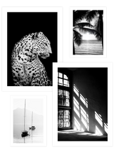 Black & White Touch Poster Seti